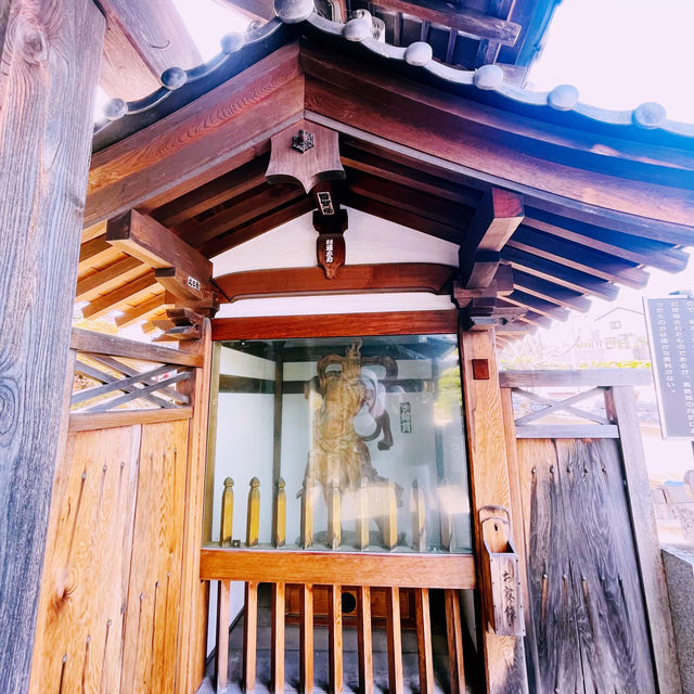 【長野県/美しい紅葉🍁と庭園を縁側から眺められるお寺】