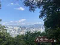 【香港行山】獅子山：俯瞰九龍半島🇭🇰 同處海角天邊⛰️