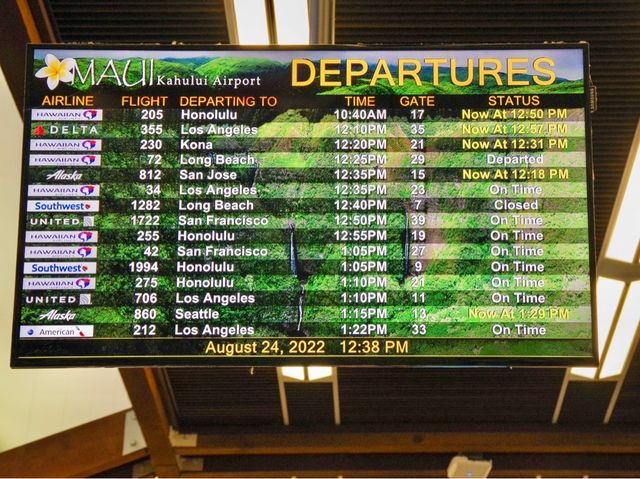 【ハワイ・マウイ島】カフルイ空港✈️