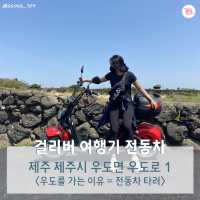 여행카드뉴스로 보는 뚜벅이 제주도 2박 3일 코스