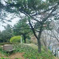 주민들의 운동장🚶‍♂️🚶‍♀️