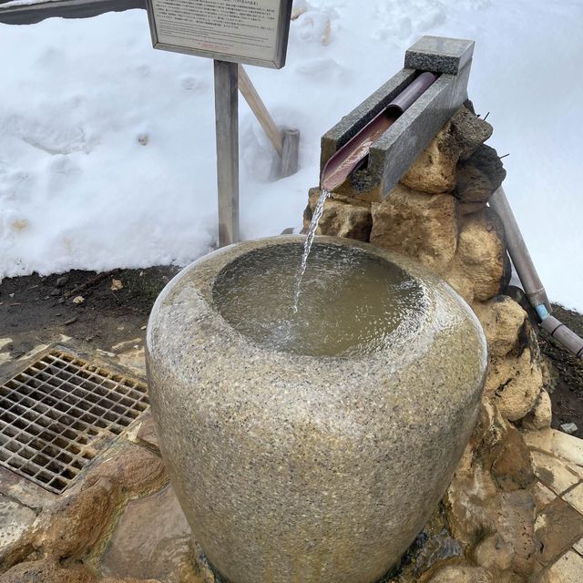 The Nonokaze Resort and Onsen