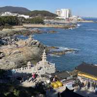 부산 기장 가볼만한곳 추천 해동용궁사
