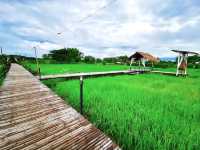 บ้านต้นจาน คาเฟ่ และ Farmstay ในหนองคาย
