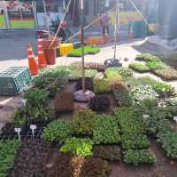 Abundant Sanseong Market in Gongju 