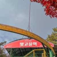 광주 단풍놀이명소 추천, 지산유원지 모노레일 ✨