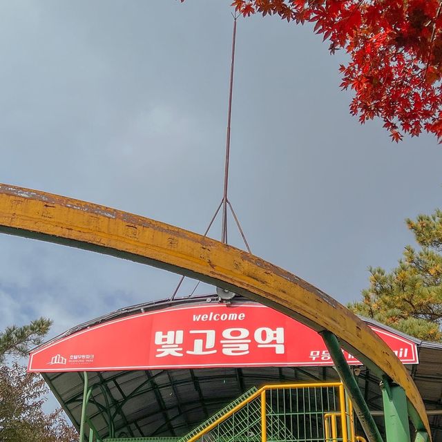 광주 단풍놀이명소 추천, 지산유원지 모노레일 ✨