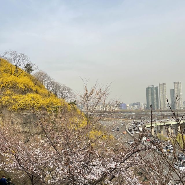 뚝섬 데이트 코스 추천