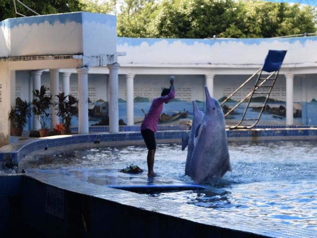 โอเอซีส ซีเวิลด์ 🐬🏖️