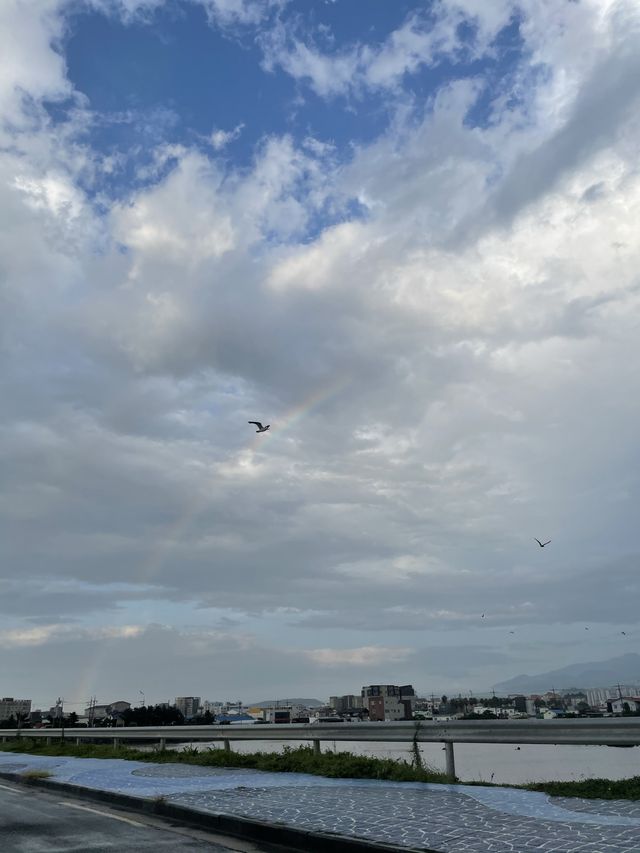 제주도에서 바다 수영하고 싶은 사람? 여기로!💙 
