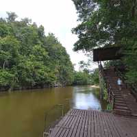 Mulu Marriot Resort and Spa