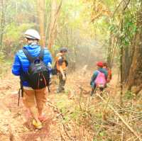 ยอดผาแดง จุดชมวิวสุดอันซีนแห่งเมืองหนองเขียว