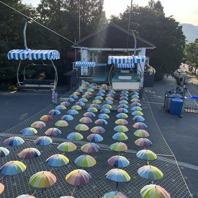 韓國必到景點首爾動物園