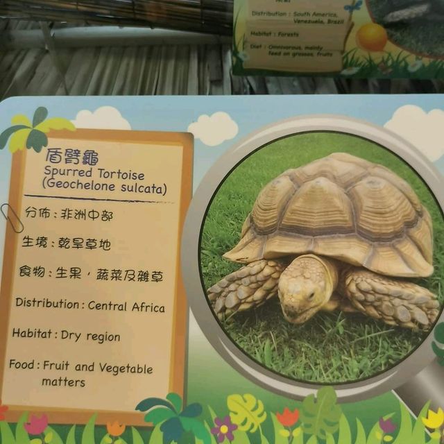屯門公園:爬蟲館