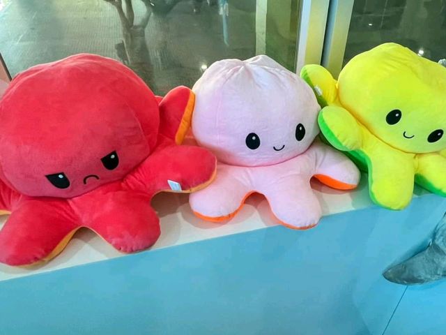 Bangsaen Aquarium 