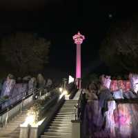 【韓国旅　釜山】夜景スポット