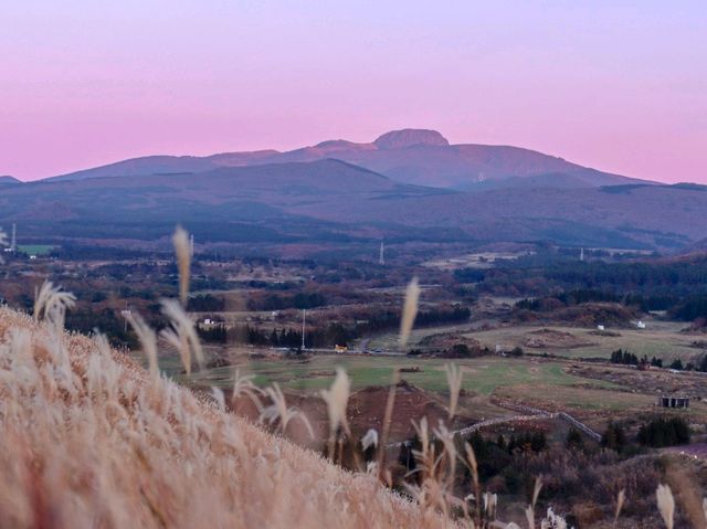 제주 오름의 멋을 새별에서 ⛰️ 