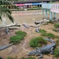 Where To Find 100 Year Old Crocodiles? 🐊