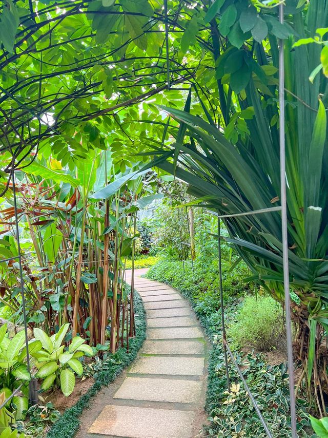 초록 힐링 가능한 부천호수식물원🌿