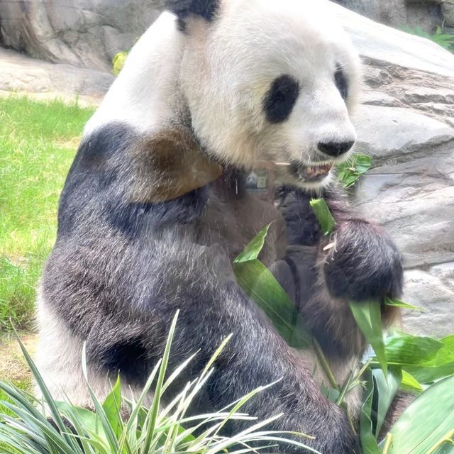探索奇幻海洋！香港海洋公園🐬🎢