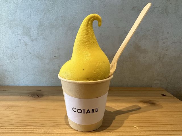 北海道・小樽。限定のかぼちゃ🎃ソフトクリームが美味しいお店『COTARU』