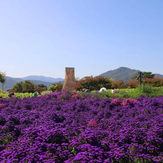 Cheomseongdae Astronomical Observatory 