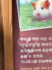 귀여운 동물들을 맘껏 볼 수 있는 에버랜드 사파리🐯
