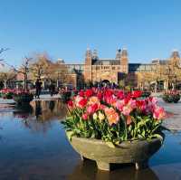 荷蘭🇳🇱阿姆斯特丹💐🌷🎨 Rijksmuseum荷蘭國立博物館