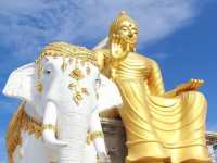 เที่ยววัดหนองพงนก วัดสวย นครปฐม 🙏🏻🙏🏻