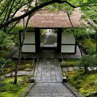 常寂光寺!!尋找內心寧靜的放鬆🌸🏯 