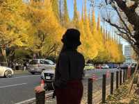 Autumn In Tokyo