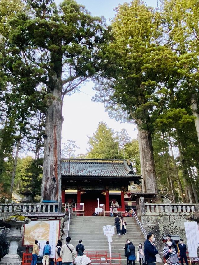 The Stone Gate and the Five-Storied Pagoda