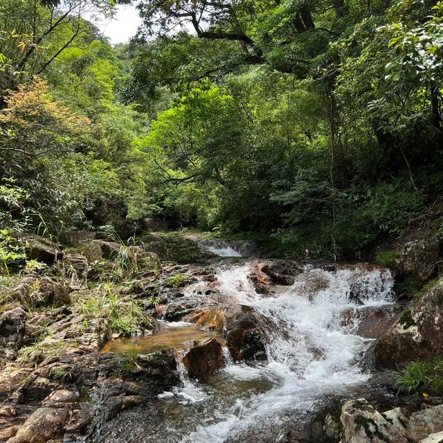 🌲🏞️ 白神山地～沐浴在溪流瀑布的清涼中！💦🌄🚶