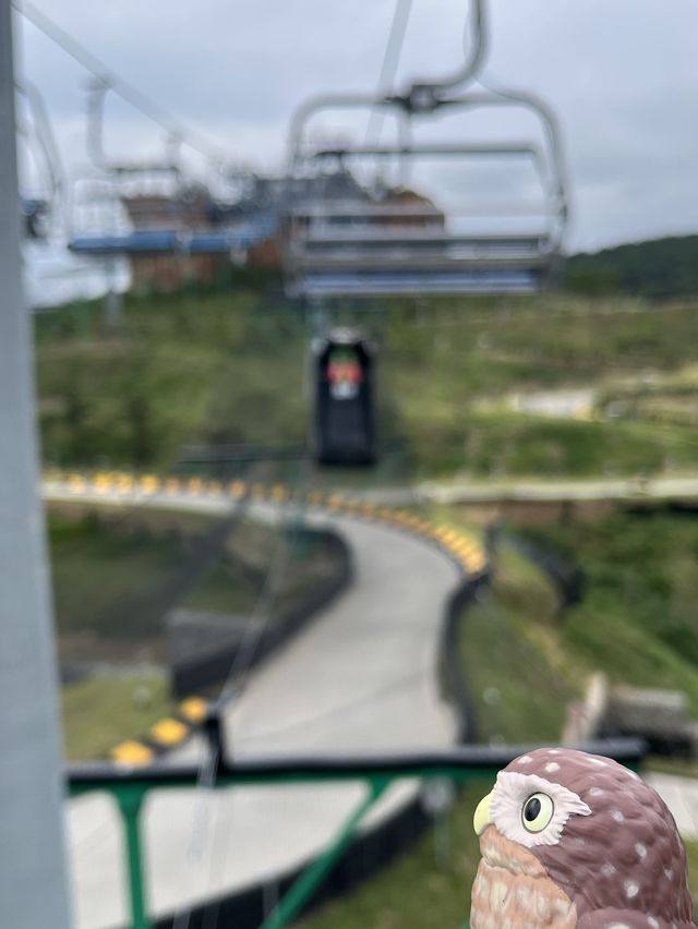 📍 釜山斜坡滑車🇰🇷Skyline Luge Busan👣太刺激好玩了！