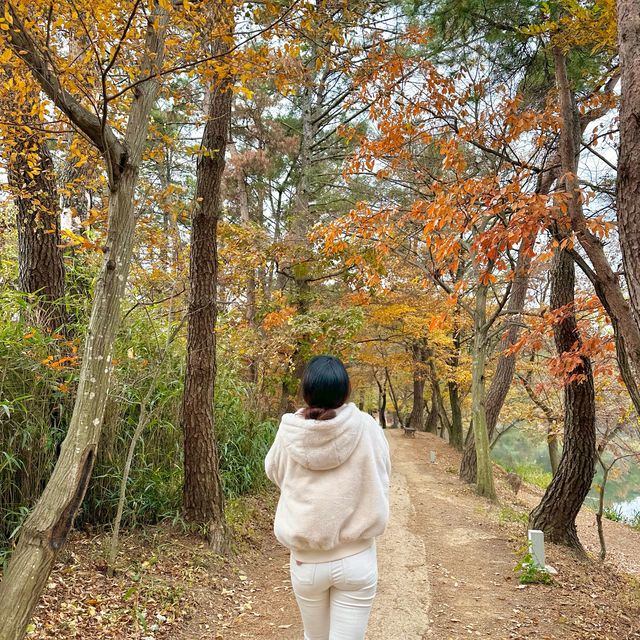 밀양 위양지 포토존 가득🧡