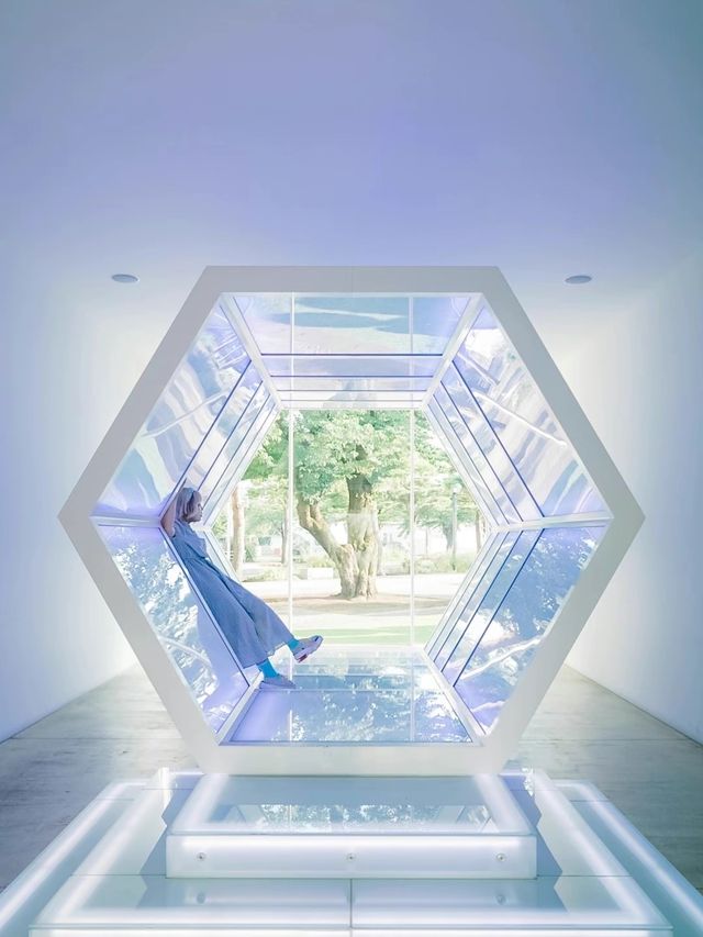 【青森県】現代アートの聖地🩵十和田市現代美術館