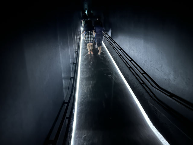東京｜沉浸式體驗展覽