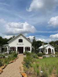 Rice Field Home Farm stay & cafe