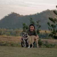 SKY 360 CAMP ลานกางเต็นท์ pet friendly 