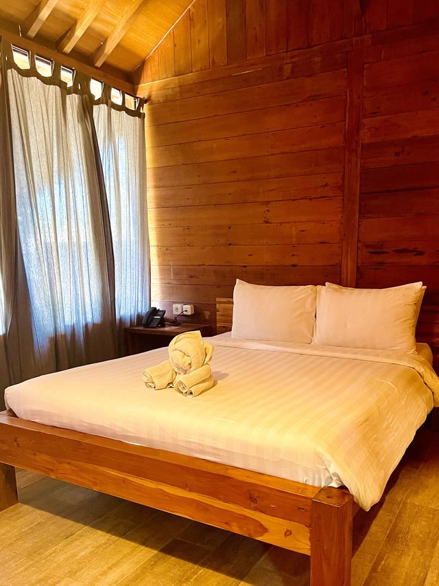 One Of The Best Hotel In Carita Beach Area🥥🏝️