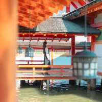 【広島】海上の鳥居を眺めながら！厳島神社