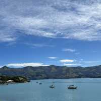 Day trip to Akaroa from Christchurch