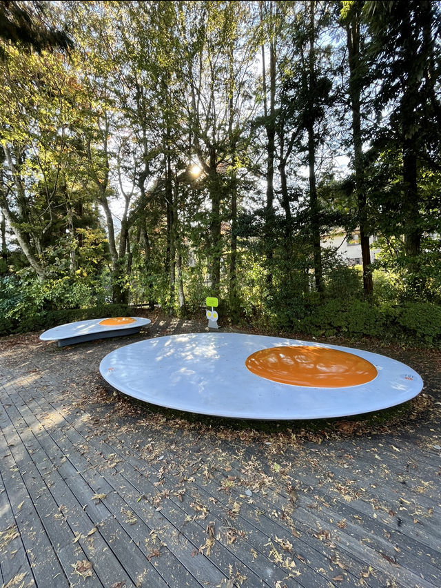 箱根溫泉之旅：雕刻之森林美術館（The Hakone Open-Air Museum）