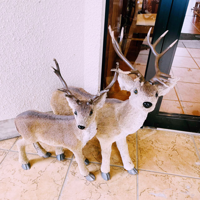 【長野県/森の中にある眺めの良いレストラン🌲🍽️🦌✨】