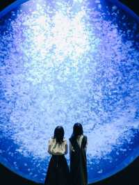 【山形】世界一のクラゲ水族館🪼幻想的なクラゲドリームシアター🌌