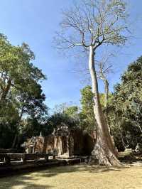 Ta Prohm Temple_in Tomb Rider Movie