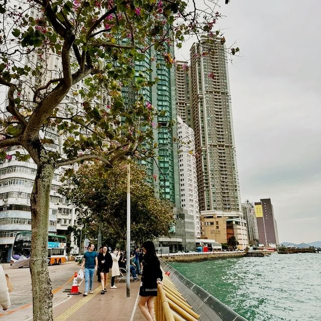 A Day at Kennedy Town Hong Kong