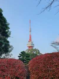 Hachimanyama Park Adventure Bridge 