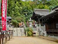 One of the top 3 Inari Shrines in Japan