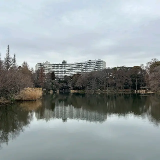 井の頭恩賜公園